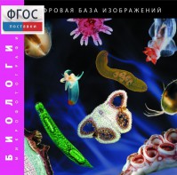 Биология. Микрофотографии. (Цифровая база изображений) - fgospostavki.ru - Шумерля