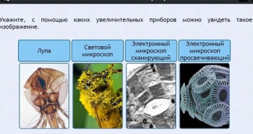 Интерактивные курсы. Биология 5 класс. Расширенный - fgospostavki.ru - Шумерля
