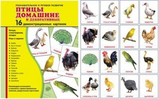 Демонстрационные карточки "Птицы домашние и декоративные" - fgospostavki.ru - Шумерля