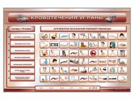 Трехсекционный базовый комплект "Травмы. Кровотечения. Ожоги" для учащихся общеобразовательных учреждений - fgospostavki.ru - Шумерля