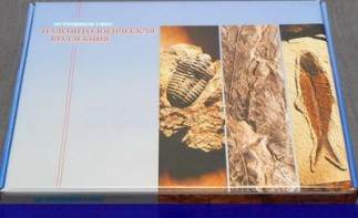 Коллекция "Палеонтологическая" (16 образцов) - fgospostavki.ru - Шумерля