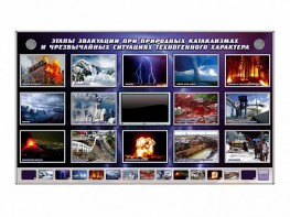 Многофункциональный интерактивный стенд-тренажер "Этапы эвакуации при природных катаклизмах и чрезвычайных ситуациях техногенного характера" - fgospostavki.ru - Шумерля