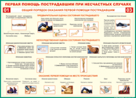 Таблица "Общий порядок оказания первой помощи пострадавшим" (100х140 сантиметров, винил) - fgospostavki.ru - Шумерля