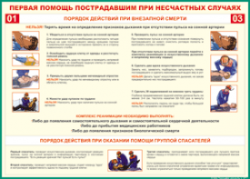 Таблица "Порядок действий при внезапной смерти" (100х140 сантиметров, винил) - fgospostavki.ru - Шумерля