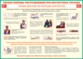 Таблица "Порядок действий при переломах конечностей" (100х140 сантиметров, винил) - fgospostavki.ru - Шумерля