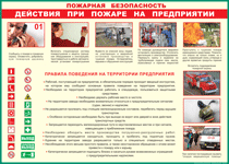 Таблица "Действия при пожаре на предприятии" (100х140 сантиметров, винил) - fgospostavki.ru - Шумерля