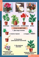 Комплект таблиц. Окружающий мир 1 класс. - fgospostavki.ru - Шумерля
