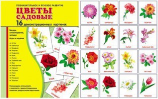 Демонстрационные карточки "Цветы садовые" - fgospostavki.ru - Шумерля