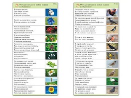 Комплект карточек (10) "Обучающий калейдоскоп. Природа" - fgospostavki.ru - Шумерля