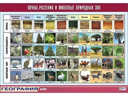 Таблица демонстрационная "Почвы, растения и животные природных зон" (винил 70*100) - fgospostavki.ru - Шумерля