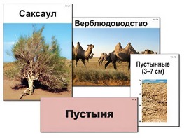 Модель-аппликация "Природные зоны России" (ламинированная) - fgospostavki.ru - Шумерля