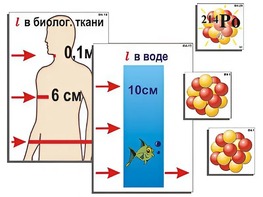 Модель-аппликация "Явление радиоактивности" (ламинированная) - fgospostavki.ru - Шумерля