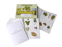 Гербарий "Морфология растений" (6 тем, 30 видов) - fgospostavki.ru - Шумерля