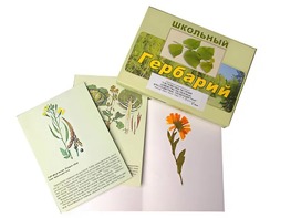Гербарий "Систематика растений. Семейство Пасленовые. Крестоцветные. Сложноцветные" (раздаточный) - fgospostavki.ru - Шумерля