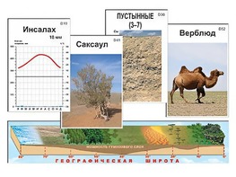 Модель-аппликация "Природные зоны" - fgospostavki.ru - Шумерля