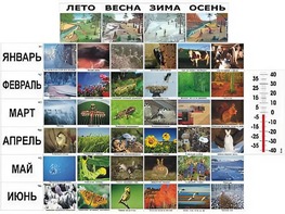 Фенологические наблюдения - fgospostavki.ru - Шумерля