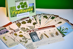 Гербарий к курсу основ общей биологии - fgospostavki.ru - Шумерля