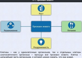 Интерактивные курсы. Биология 5 класс. Базовый - fgospostavki.ru - Шумерля