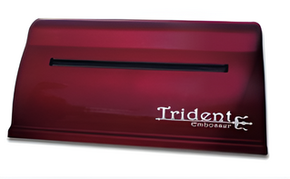 Принтер для печати рельефно-точечным шрифтом Брайля Trident - fgospostavki.ru - Шумерля