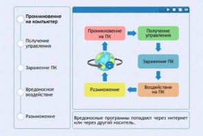 Интерактивные курсы. Информатика 10 класс . Базовый. - fgospostavki.ru - Шумерля