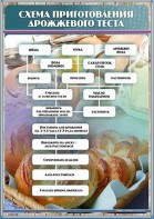 Стенд "Схема приготовления дрожжевого теста" - fgospostavki.ru - Шумерля