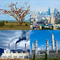 Модель-аппликация Биосфера и человек - fgospostavki.ru - Шумерля