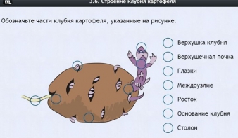 Интерактивные курсы. Биология 6 класс. Расширенный - fgospostavki.ru - Шумерля
