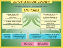 Стенд "Методы селекции и биотехнологии" - fgospostavki.ru - Шумерля