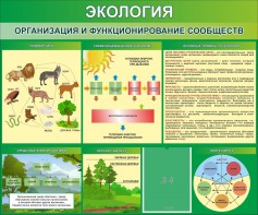 Стенд "Экология. Организация и функционирование сообществ" - fgospostavki.ru - Шумерля