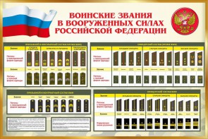 Стенд "Воинские звания в вооруженных силах РФ" - fgospostavki.ru - Шумерля