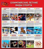 Стенд "Олимпийские летние виды спорта" - fgospostavki.ru - Шумерля