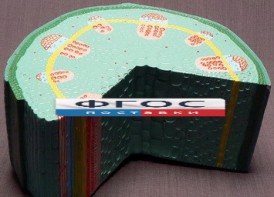 Модель "Стебель растения" - fgospostavki.ru - Шумерля