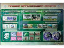 Электрифицированный стенд "Уровни организации жизни" - fgospostavki.ru - Шумерля