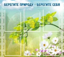 Стенд "Берегите природу - берегите себя" - fgospostavki.ru - Шумерля