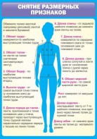 Стенд "Снятие мерок" Вариант 2 - fgospostavki.ru - Шумерля