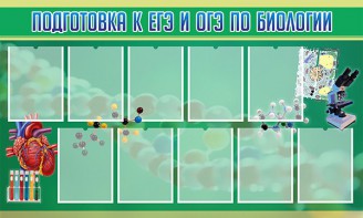 Стенд "Подготовка к ЕГЭ и ОГЭ по биологии" Вариант 2 - fgospostavki.ru - Шумерля
