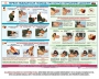 Комплект плакатов "Оказание первой доврачебной медицинской помощи" - fgospostavki.ru - Шумерля