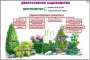 Комплект кодотранспарантов "Культурные растения" - fgospostavki.ru - Шумерля