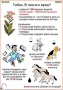 Комплект кодотранспарантов "Ядовитые растения" - fgospostavki.ru - Шумерля